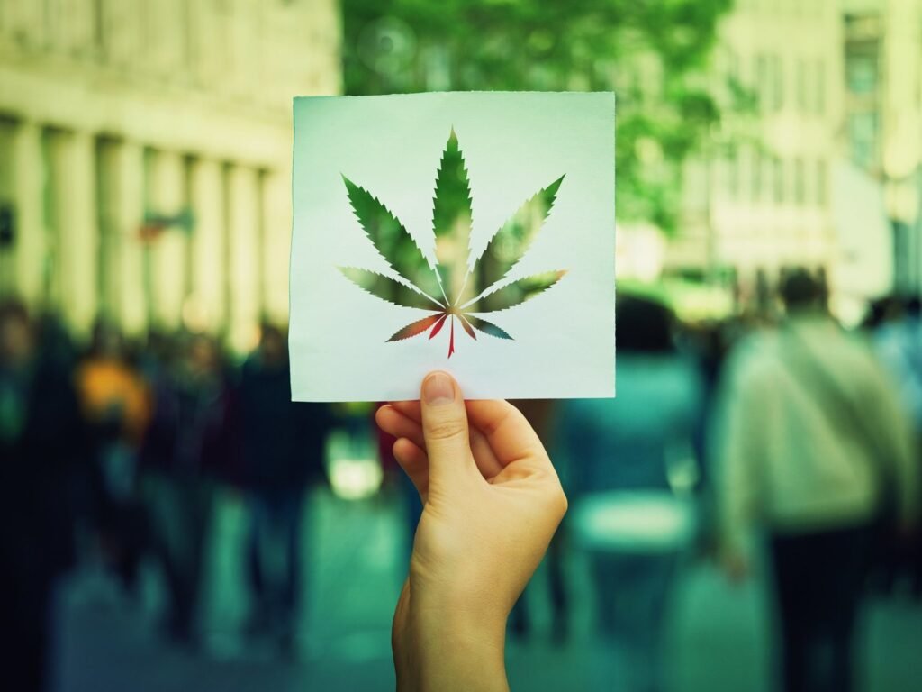 Legalización federal del cannabis