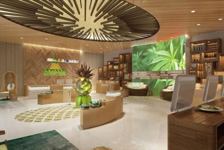 Ampliación de la tienda de marihuana medicinal Topsham