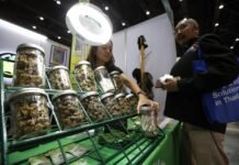 El sector del cannabis crece sin control en Tailandia a la espera de su regularización